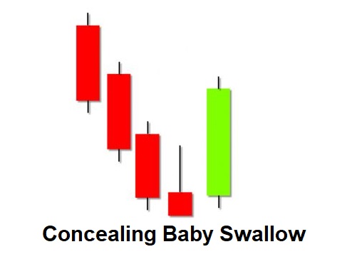 Concealing Baby Swallow